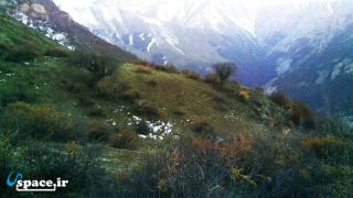 منطقه حفاظت شده بلس کوه در فاصله 26 کیلومتری خانه باغ گلها - تنکابن - روستای نعمت آباد